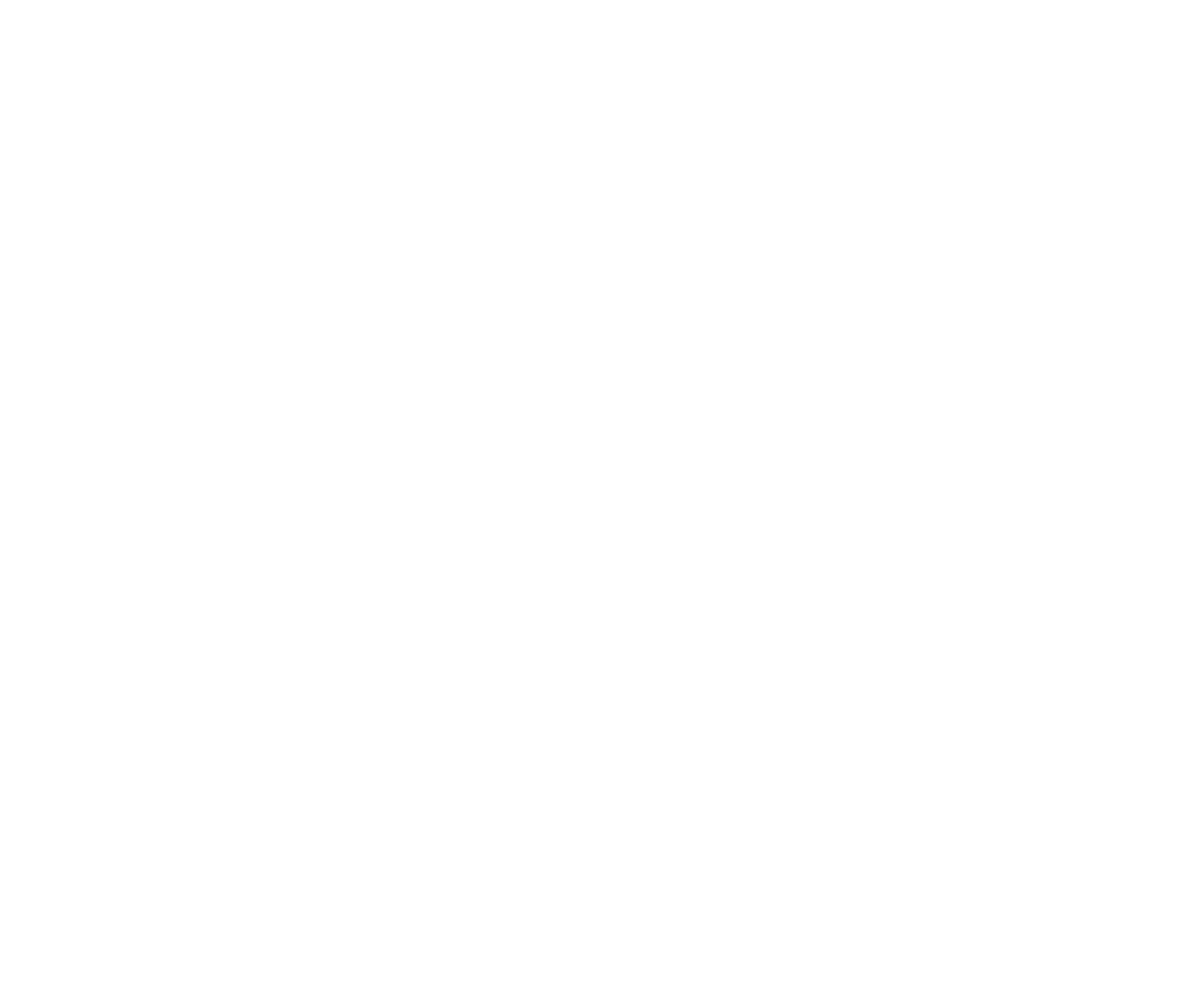 Bighorn Mountain Chiropractic and Acupuncture Logo